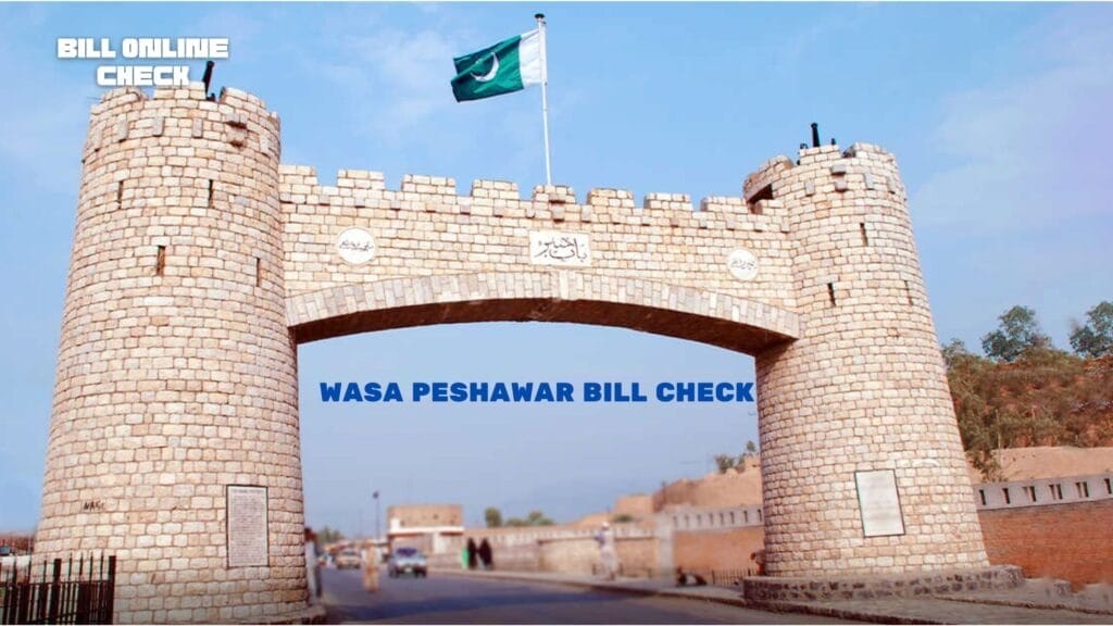 Wasa Peshawar Duplicate Bill Online